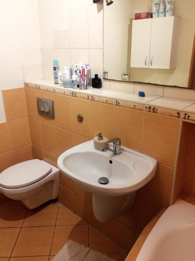 Nice Room, Комната, Pokoj Miedzy Airport Wro A Centrum ヴロツワフ エクステリア 写真